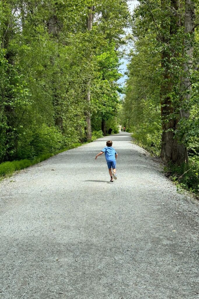 Mission Creek Park ideal for little kids needing to get out