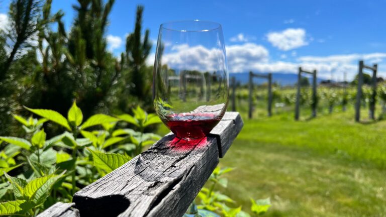 8th Generation vineyards outdoor wine tasting