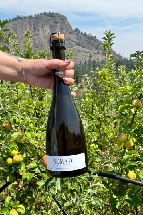 Nomad Cider in Summerland with Giantshead Mountain in backrgound