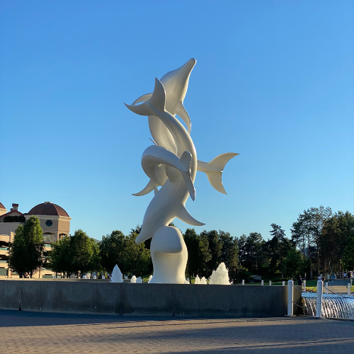 downtown kelowna dolphins