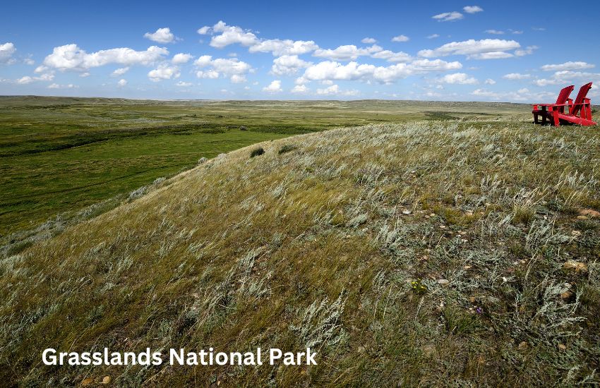 Grasslands National Park