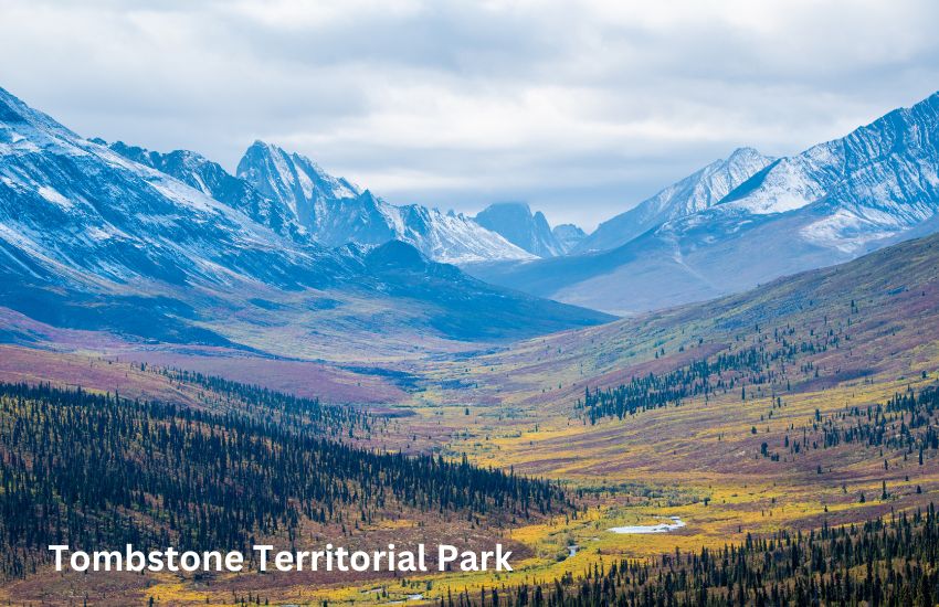 Tombstone territorial park Yukon