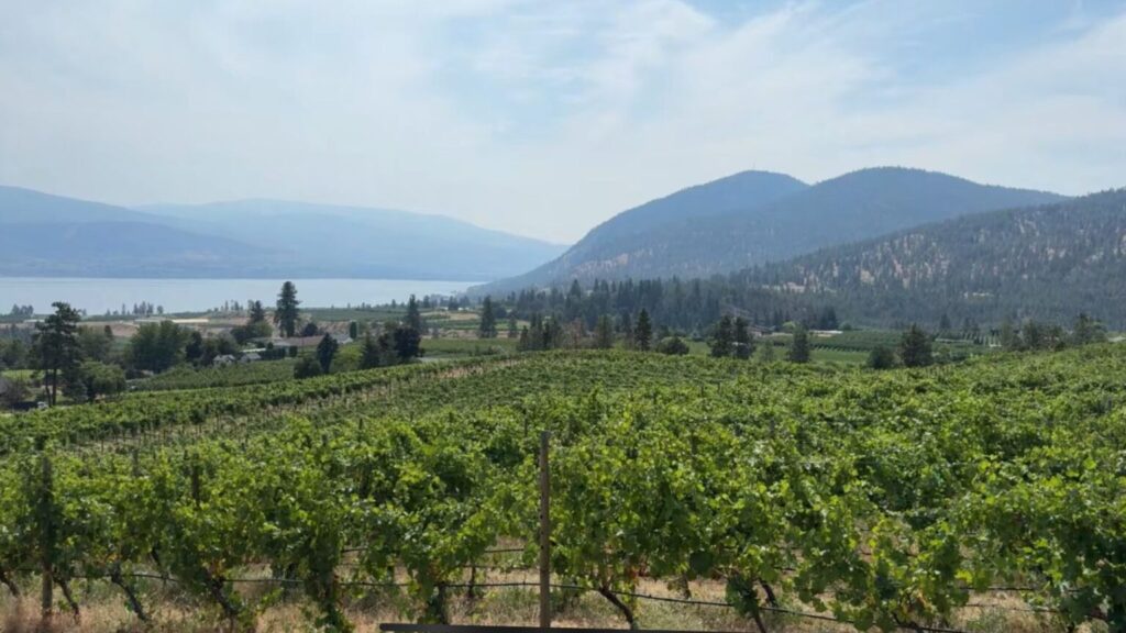 Lightning rock winery Summerland British Columbia