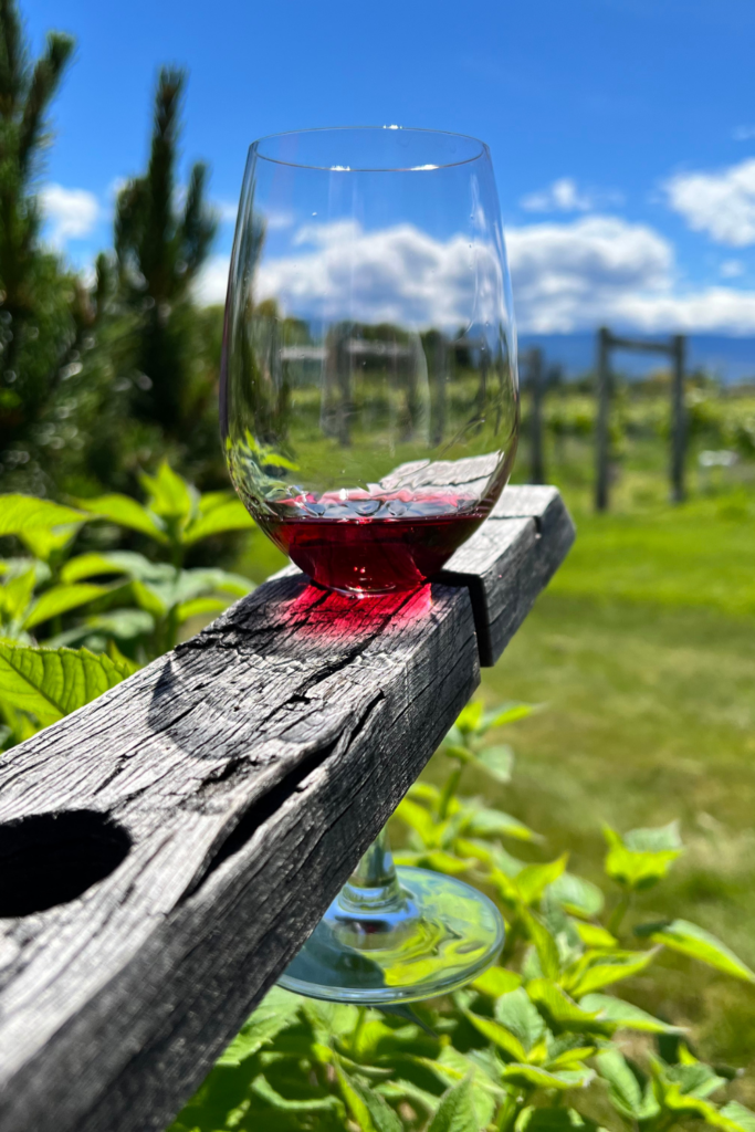 wine in the Okanagan Summerland Naramata